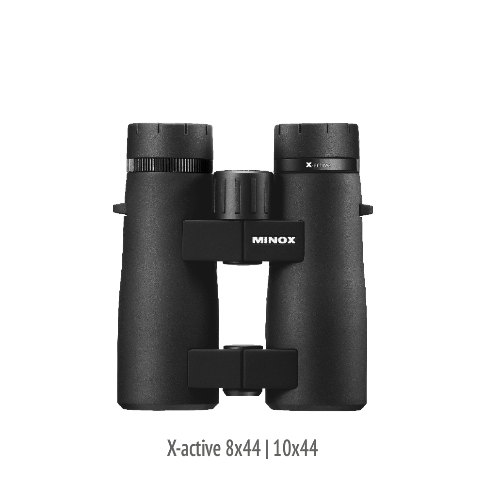 Binoculars x online