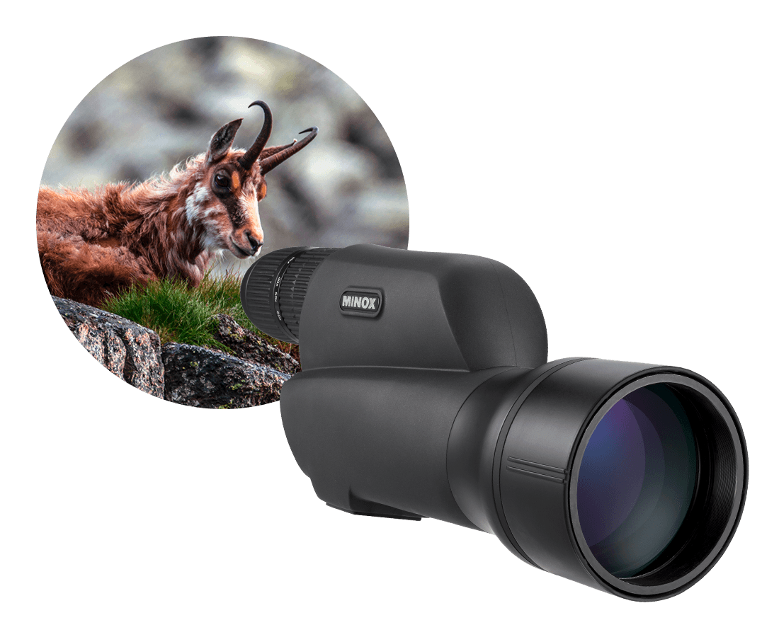 Spotting Scope