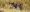 MINOX_BLOG_Weizen_Banner_III_30x30