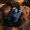 MINOX_80408390_X-range_8x42_Image_II_30x30