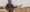 MINOX_Banner_Modul_Parallaxe_30x30