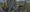 MINOX_BLOG_Testbericht_Spektiv_20-60x80ED_Michael_Schulenberg_Banner-I_30x30