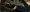 MINOX_X-TOUR_Banner_Image_Jagd_V_30x30